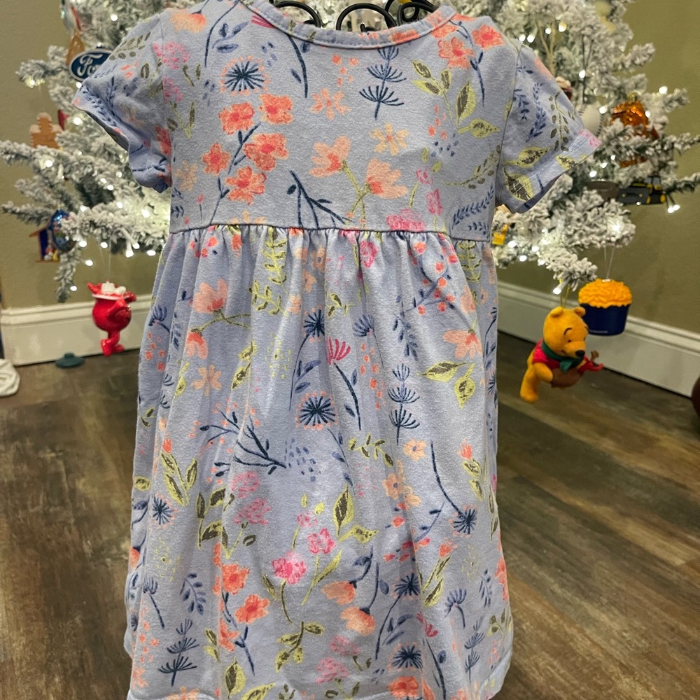 Wonder Nation Kids Floral Set in Blue and Pink